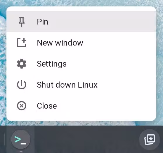 Épingler l'application Terminal à l'étagère