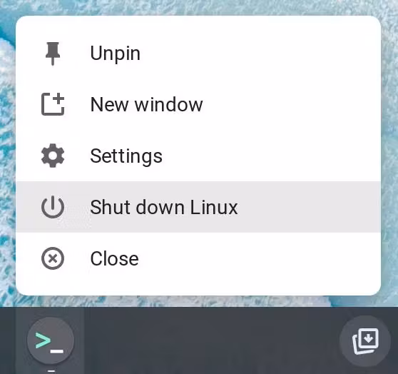 Shutting down the Linux container.