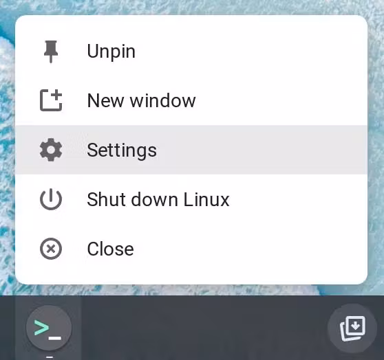Access Terminal settings by right-clicking the Terminal icon.