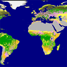 COPERNICUS/Landcover/100m/Proba-V-C3/Global