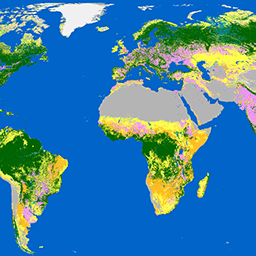 ESA/WorldCover/v100