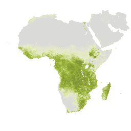 FAO/WAPOR/2/L1_NPP_D