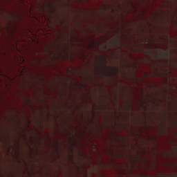 GOOGLE/BRAZIL_FOREST_2008/V1/ANALYTIC