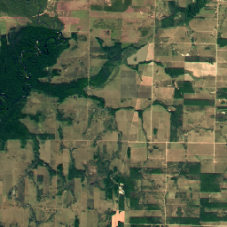 GOOGLE/BRAZIL_FOREST_2008/V1/VISUAL