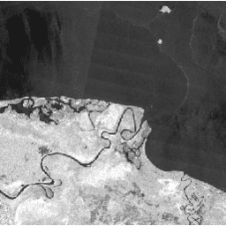 JAXA/ALOS/PALSAR-2/Level2_2/ScanSAR