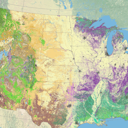 LANDFIRE/Vegetation/EVC/v1_4_0