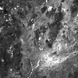 LANDSAT/COMPOSITES/C02/T1_L2_32DAY_BAI