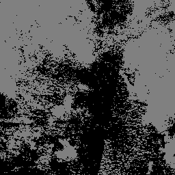 LANDSAT/COMPOSITES/C02/T1_L2_32DAY_NBR