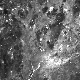 LANDSAT/COMPOSITES/C02/T1_L2_8DAY_BAI