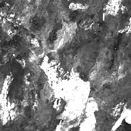 LANDSAT/COMPOSITES/C02/T1_L2_ANNUAL_BAI