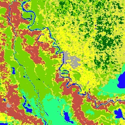 Immagine di esempio MODIS/061/MCD12Q1
