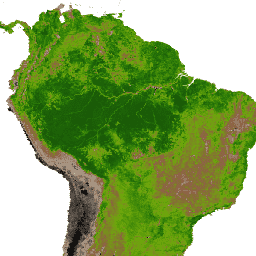 Immagine di esempio MODIS/061/MOD13Q1