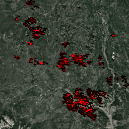 Imagem de amostra MODIS/061/MOD14A1