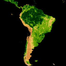 Imagen de muestra MODIS/061/MOD15A2H