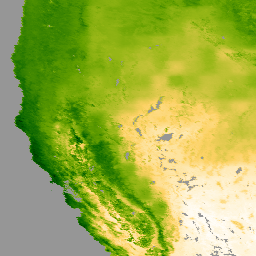 Imagem de amostra MODIS/061/MOD16A2GF