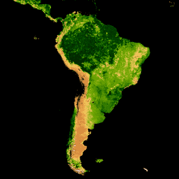 Imagen de muestra de MODIS/061/MYD15A2H