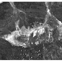 Imagen de muestra de MODIS/MOD09GA_006_BAI