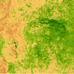 Exemple d'image MODIS/MOD09GA_006_NDVI