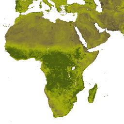 NOAA/CDR/AVHRR/NDVI/V5