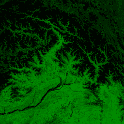 NOAA/VIIRS/001/VNP13A1
