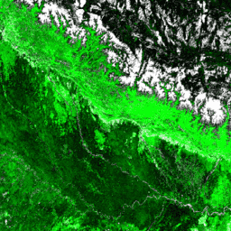 NOAA/VIIRS/001/VNP22Q2