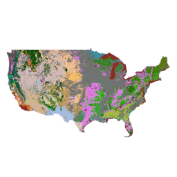 USGS/GAP/CONUS/2011