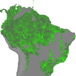 WRI/GFW/FORMA/vegetation_tstats