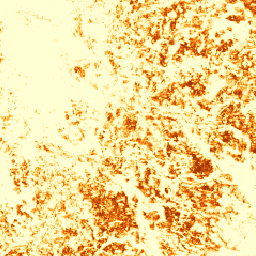 projects/forestdatapartnership/assets/coffee/model_2025b