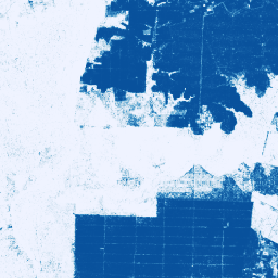 projects/forestdatapartnership/assets/community_palm/20240312