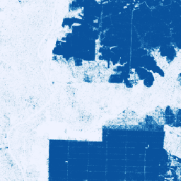 پروژهها/forestdatapartnership/assets/palm/model_2024a