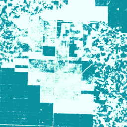 projects/forestdatapartnership/assets/palm/model_2025a