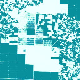 projects/forestdatapartnership/assets/palm/model_2025b