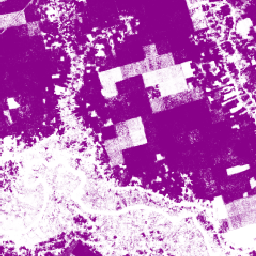 প্রকল্প/বন তথ্য অংশীদারিত্ব/সম্পদ/রাবার/মডেল_2024a