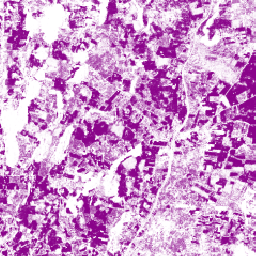 projects/forestdatapartnership/assets/rubber/model_2025a