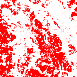 projects/forestdatapartnership/assets/rubber/model_2026a