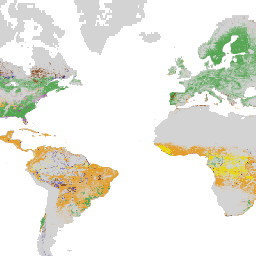 projects/landandcarbon/assets/wri_gdm_drivers_forest_loss_1km/v1_3_2001_2025