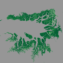 projects/mangrovedatahub2/assets/CGMD-AFCC30
