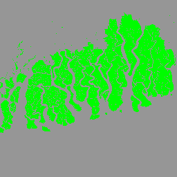 projects/mangrovedatahub2/assets/CGMD-Extent30