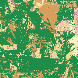 projects/mapbiomas-public/assets/bolivia/lulc/v1