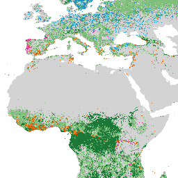 projects/nature-trace/assets/forest_typology/forest_typology_2020_v1_0_collection