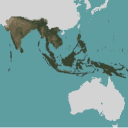 projects/planet-nicfi/assets/basemaps/asia