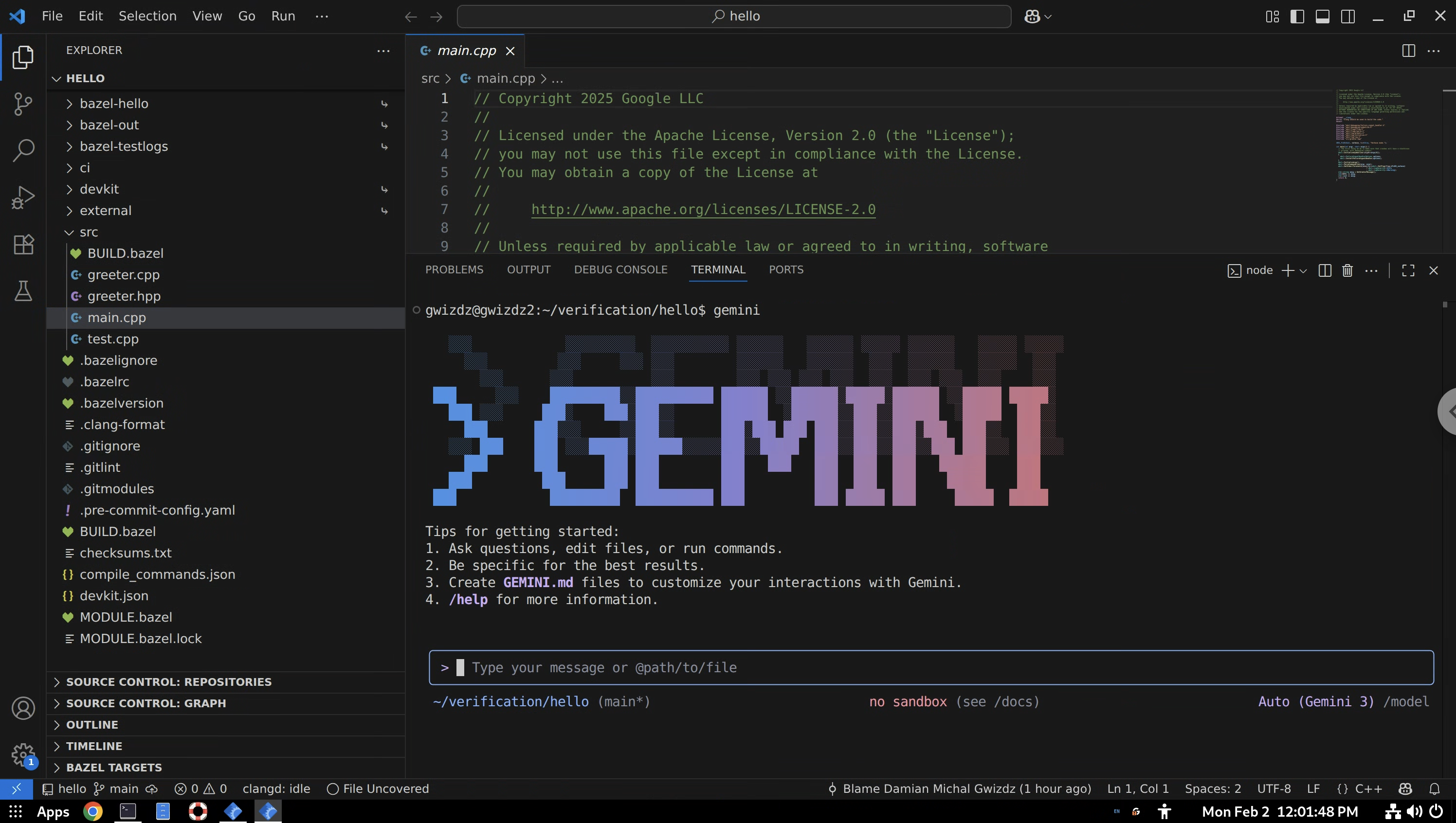 gemini cli