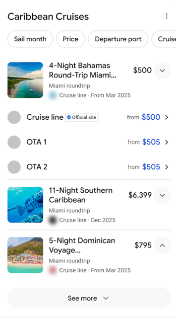 Example of Cruises Experience