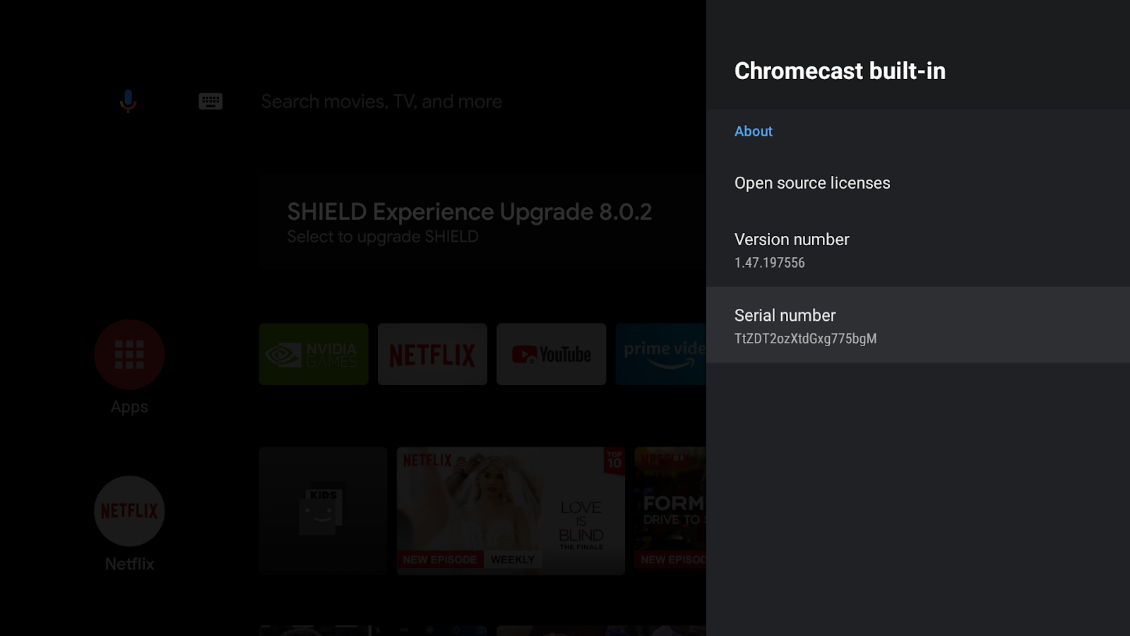 Image of an Android TV screen showing the 'Chromecast built-in' screen, the Version number and Serial number