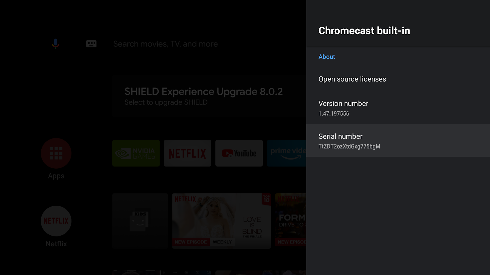 รูปภาพหน้าจอ Android TV ที่แสดงหน้าจอ &quot;Google Cast&quot;, หมายเลขเวอร์ชัน และหมายเลขซีเรียล