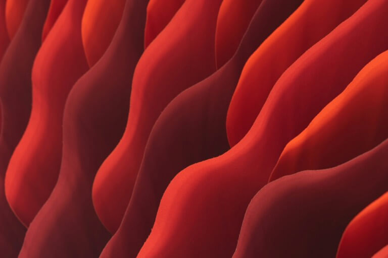 abstract art notebook thumbnail