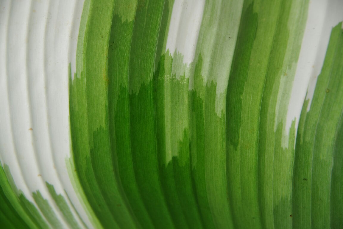 abstract art notebook thumbnail