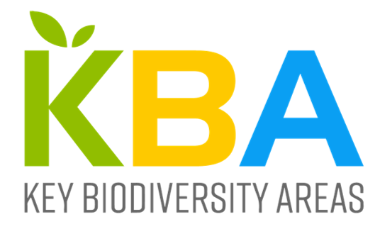 Logo właściciela katalogu