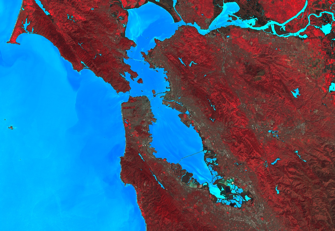 মোজাইক_এসএফ