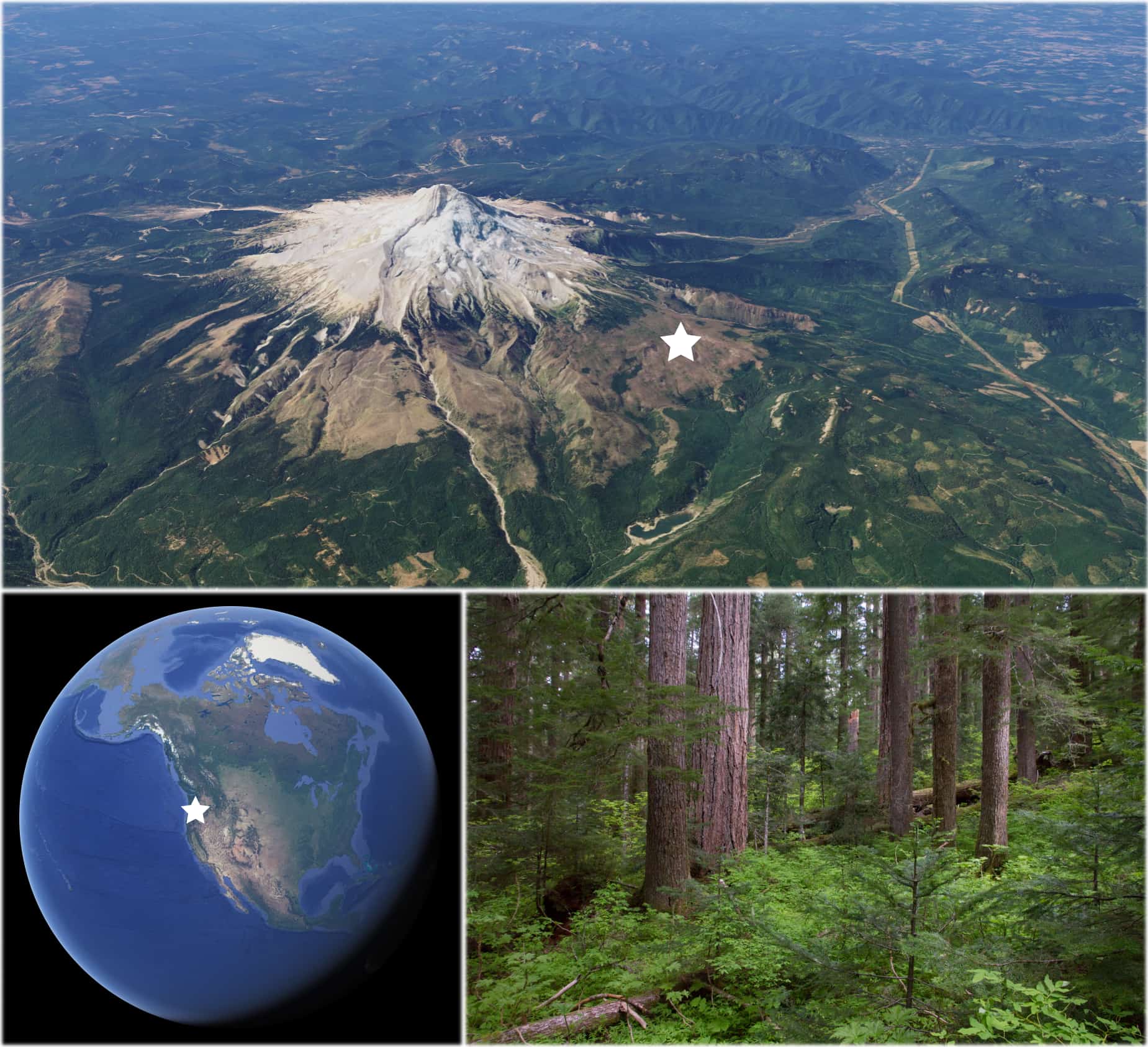 Area of interest